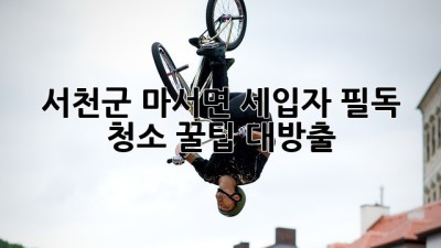✨ 서천군 마서면 세입자 필독! 청소 꿀팁 대방출 🏡🧹