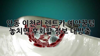 안동 이천리 렌트카 예약꿀팁! 🚗💨 놓치면 후회할 정보 대방출!